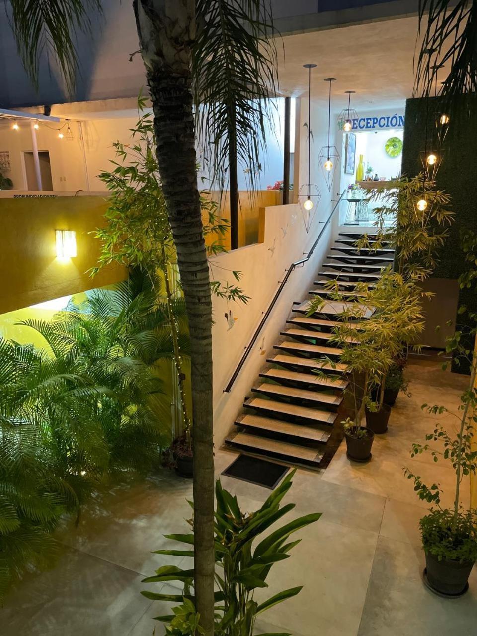 Hotel Boutique Ixaya プエルトバラータ エクステリア 写真